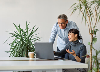 Portrait of young businesswoman and mid aged businessman using laptop having a meeting or...