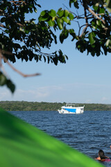 praia palmeiras barco natureza areia paraíso