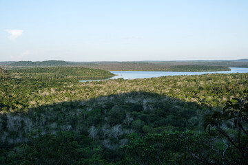 árvores verdes mata floresta amazonia natureza brasil lago igarapé lagoa selva folha