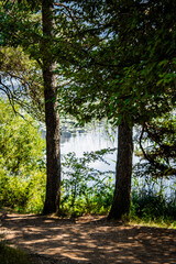 Fototapeta premium Abant Lake Bolu, the lush green Bolu and the magnificent deep blue Abant Lake