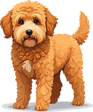 Cute cartoon a illustrator vector goldendoodle