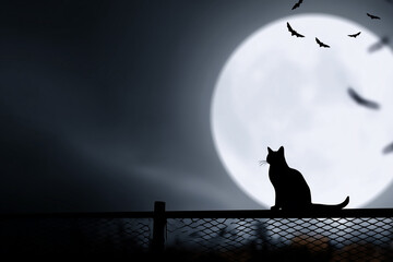 Halloween background. Halloween background with a cat and a full moon.