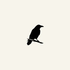 Obraz premium Black crow silhouette perched on branch symbolizing mystery gothic halloween and dark omen theme