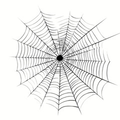 Fototapeta premium Detailed spider web vector illustration with symmetrical pattern on white background