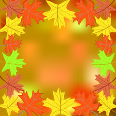 autumn maple leaves