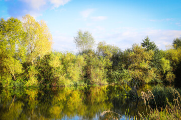 A calm landscape depicts a small body of water with a mirrored surface, reflecting dense thickets...