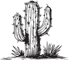 black and white vector illustration of a cactus on a white background, in a simple line art style, with a minimalist, vintage ink drawing aesthetic