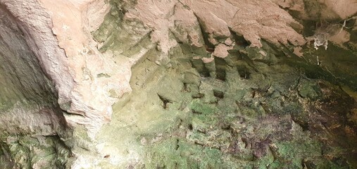 Abstract Texture of a Damp, Mossy Cave Wall