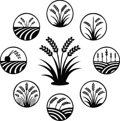 Clean black and white vector illustration of paddy icons like.eps