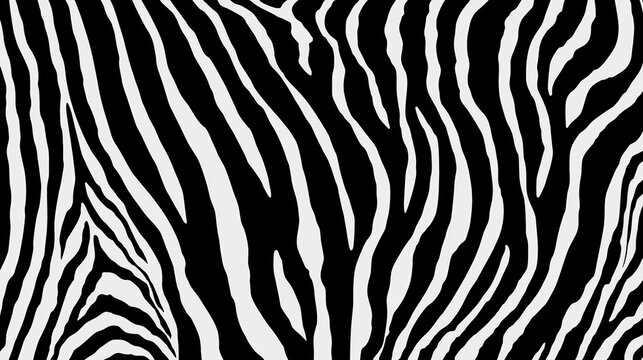 Abstract black and white zebra stripe pattern creating a bold visual effect.