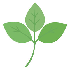 Basil Plant Vector in Flat Color for Organic Food and Culinary Design