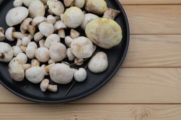 Cleaned edible Suillus mushrooms displayed on black plate placed on wooden surface. Natural organic forest food, autumn harvest ingredient for healthy cooking and vegetarian cuisine.