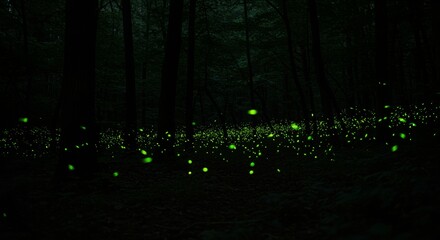 A scattering of glowing fireflies illuminating a dark forest setting. The tiny lights create a magical, serene, and enchanting nighttime atmosphere.