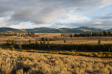 autumn landscape in the mountains