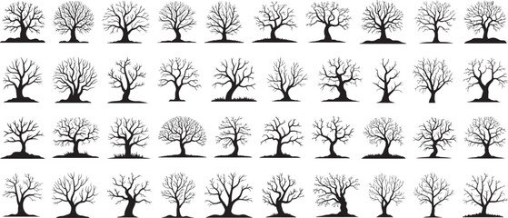 Collection of Bare Winter Tree Silhouettes in Rows