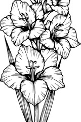 Elegant gladiolus floral arrangement sketch for timeless design projects, evoking natural beauty and classic artistry. © Vectors Studio