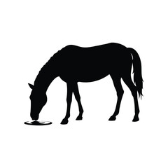 Silhouette of a horse drinking water in a minimalistic illustration style, horse drinking water black silhouette vector illustration