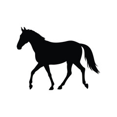 Elegant silhouette of a horse gracefully moving against a stark white backdrop, horse walking silhouette vector illustration