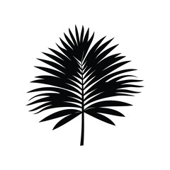 Elegant silhouette of a single palm leaf against a stark white background, palm frond silhouette vector illustration