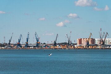 A river port. A transshipment point for a variety of cargoes. Numerous gantry cranes on the river pier against the backdrop of urban development.