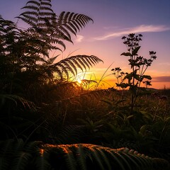 Golden Hour Ferns - A Silhouette of Natures Beauty at Sunset.