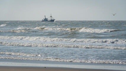 single ship is sailing on the North Sea, ship, sails and waves shine in the evening light, North Sea beach before sunset with waves of the ocean