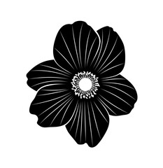 anemone (anemone hupehensis) flower isolated on white background