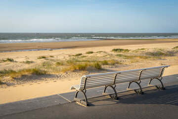 Park bench on the shore of North Sea. Wind makes structures in the sand at the ocean, natural art on the sandy beach, place to recreation on holiday