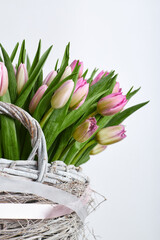 Pink and purple tulips in a rustic whitewashed wicker basket decorated with satin and translucent ribbons
