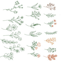 floral design elements