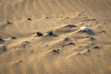 Wind makes structures in the sand at the North Sea, natural art on the sandy beach, a storm over the beach forms sand, a beautiful pattern