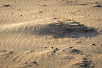 Wind makes structures in the sand at the North Sea, natural art on the sandy beach, a storm over the beach forms sand, a beautiful pattern