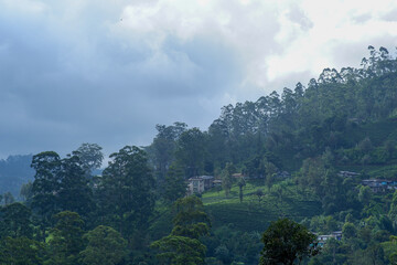 View of tea estate from The Watefall Villa in Sri Lanka.