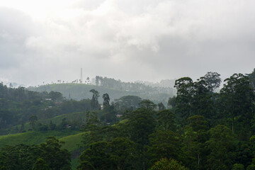 View of foggy tea estate from The Watefall Villas in Sri Lanka.