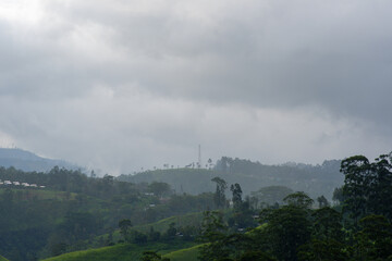 View of foggy tea estate from The Watefall Villas in Sri Lanka.