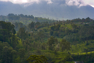 View of foggy tea estate from The Watefall Villas in Sri Lanka.