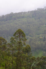 View of the mountains from The Watefall Villas in Sri Lanka.
