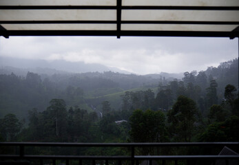 Misty hills and lush green forest landscape in Talawakelle, Sri Lanka.