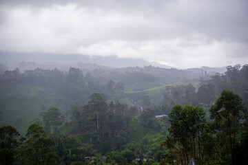 Misty hills and lush green forest landscape in Talawakelle, Sri Lanka.