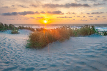 Sunset over stormy North Sea beach with reed grass bushes, orange-red sky over the dark blue ocean, panorama with sandy beach and blowing grass in the wind, storm at sunset over wavy water