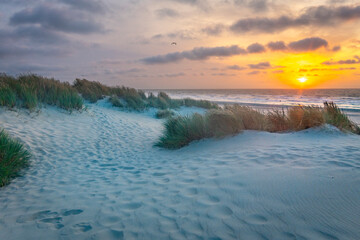 stormy North Sea beach with reed grass bushes at sunset, orange-red sky over the dark blue ocean, panorama with sandy beach and blowing grass in the wind, storm at sunset over wavy water, clouds