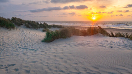 stormy North Sea beach with reed grass bushes at sunset, orange-red sky over the dark blue ocean, panorama with sandy beach and blowing grass in the wind, storm at sunset over wavy water, clouds