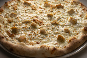 A delicious cheese pizza featuring a thick crust and a variety of small toppings, elegantly placed on a plate