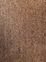 Closeup of brown coir doormat texture made from natural coconut fibers. Rough organic surface background, eco-friendly material for home decor, rustic and natural pattern.