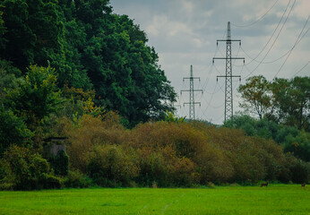 Obraz premium Autumn landscape with high voltage power lines running across a vibrant green field. A wooden hunting stand sits at the edge of a dense forest where wild deer graze under a moody cloudy sky.