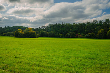 Fototapeta premium Expansive green meadow stretching towards a distant forest line under a bright yet cloudy autumn sky. The landscape captures the serene atmosphere of a rural field during the change of seasons.