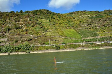 Zwischen St.Goar und Rüdesheim am Rhein