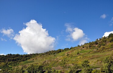 Zwischen St.Goar und Rüdesheim am Rhein