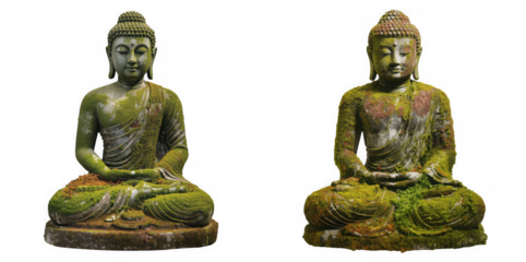 Two ancient buddha statues covered in moss, meditating in a serene pose isolated on transparent background