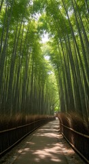 Path Through Serene Bamboo Forest - A Natural Sanctuary.